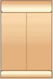 An envelope with a brown background and an envelope size guide.